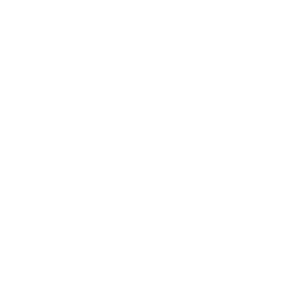 Lions Badge